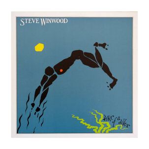 Steve Winwood - Arc Of A Diver | Vinilo Usado