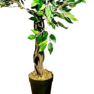 Planta Artificial Ficus Premium 120 Cm. 630 Hjs / Arbusto Real