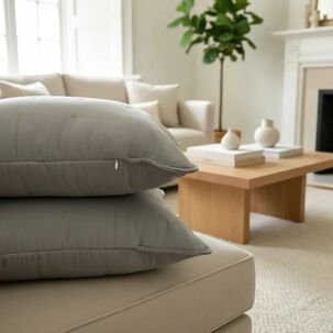 Set De 2 Cojines Bordados 6060 Cm Algod&oacute;n