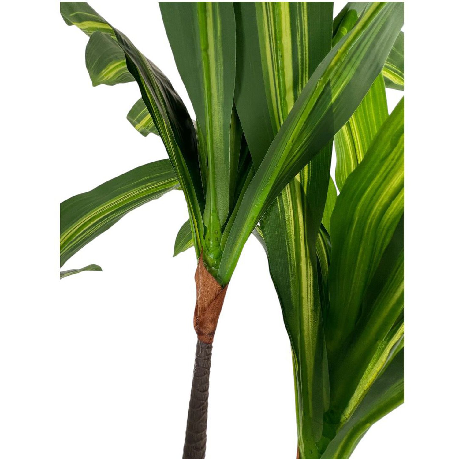 Planta Artificial Dracaena Premium 165 Cm./ 90 Hojas image number 4.0