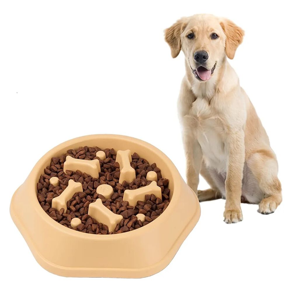 Plato Anti Ansiedad Perro Plato De Entrenamiento Perro Lento image number 2.0