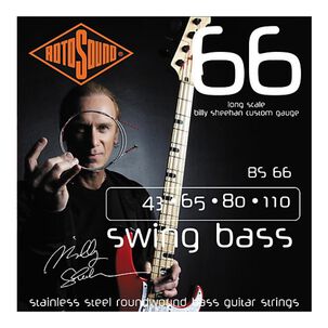 Set Bajo El&eacute;ctrico Billy Sheehan Bs66