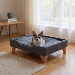 Cama De Mascotas - Talla S (55x40 Cm) / Patas De Madera 11 Cm (negro)