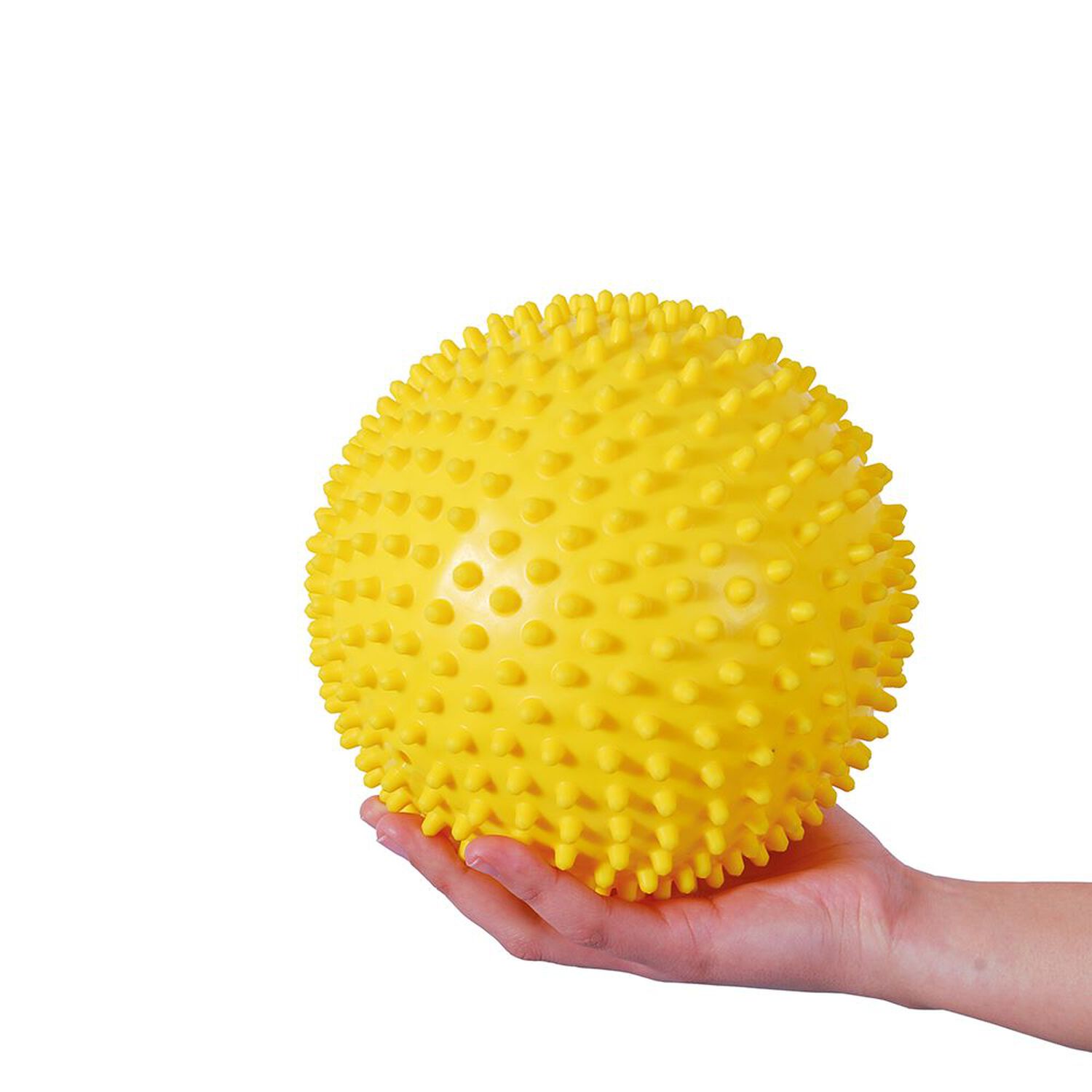 Pelota Puerco Esp&iacute;n 20 Cm image number 1.0