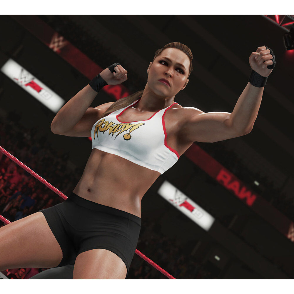 Juego Ps4 Wwe 2K19 image number 3.0