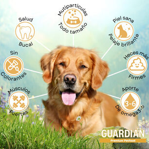 Alimento Para Perro Adulto Guardi&aacute;n 9kg