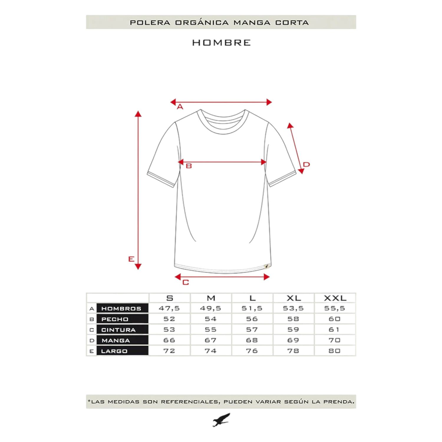 Polera Org&aacute;nica Elements Hombre Falcone image number 0.0