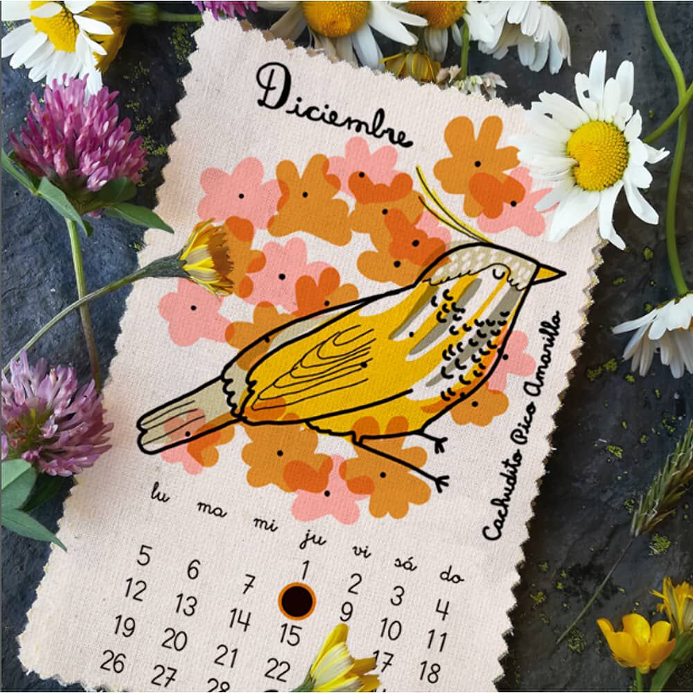 Calendario 2022 Aves Pajarito De Mimbre image number 12.0