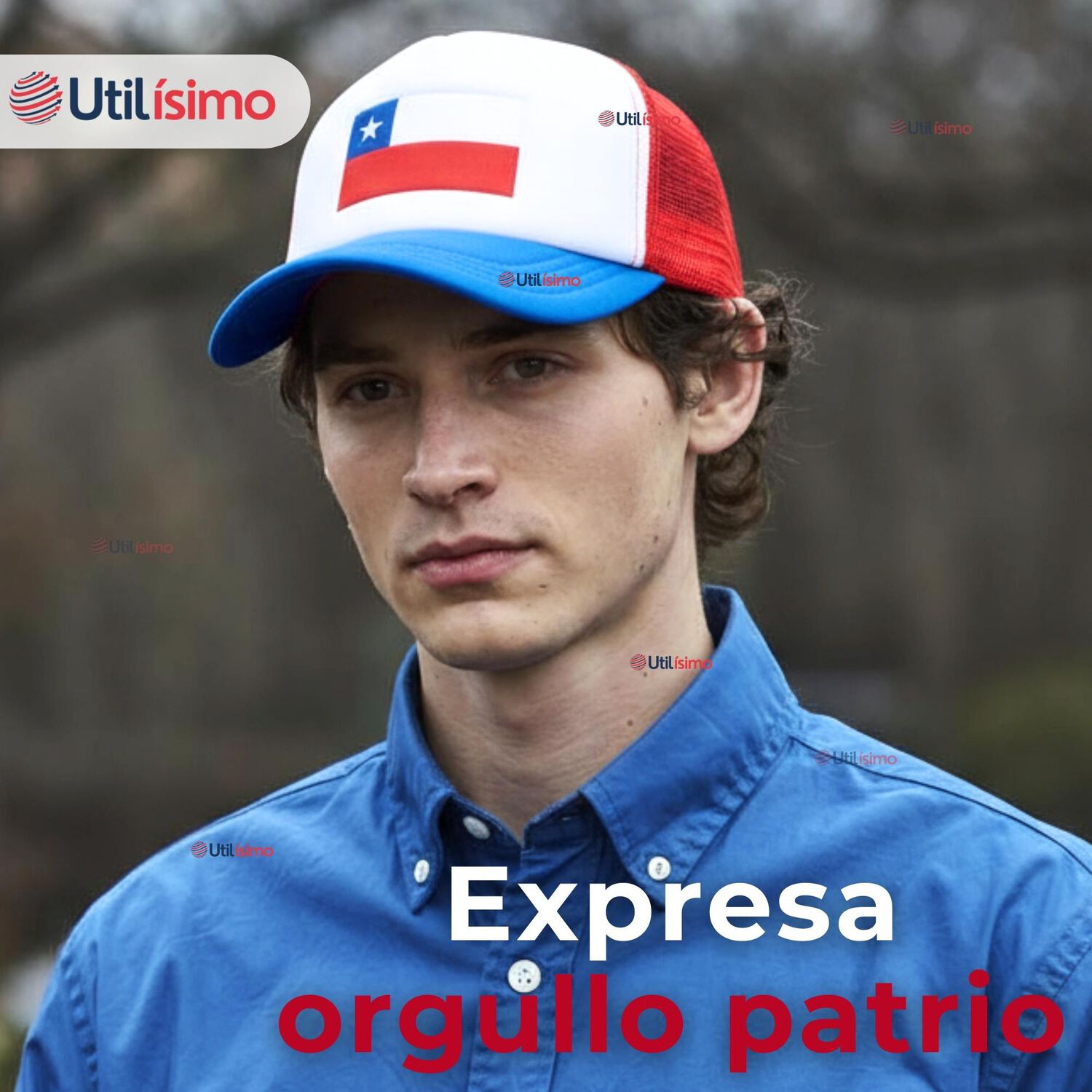 Gorro Jockey Talla &Uacute;nica Ajustable Malla Poli&eacute;ster Estampado Chileno image number 5.0