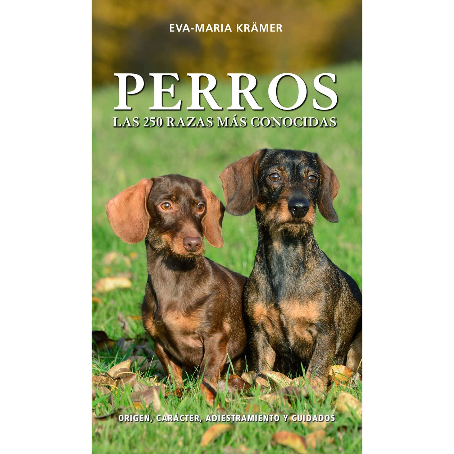 Perros, Las 50 Razas M&aacute;s Conocidas image number 0.0