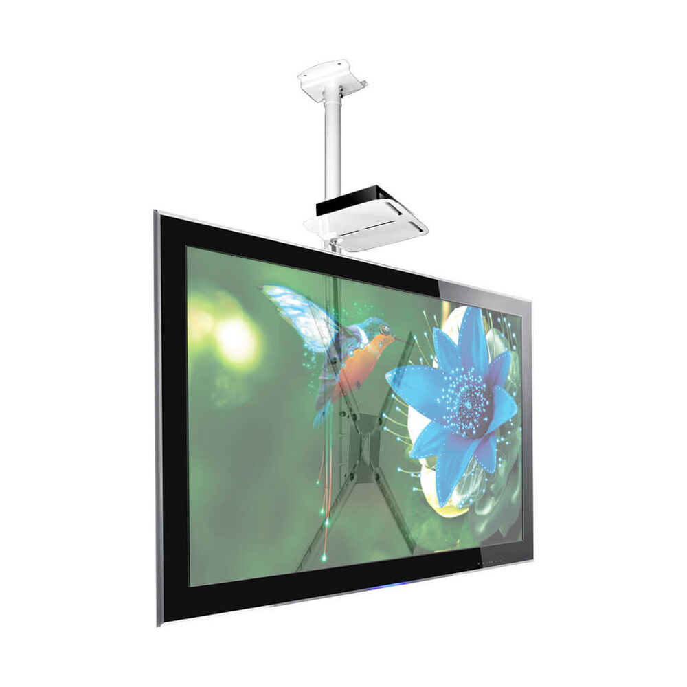 Soporte De Techo Para Tv 10" A 60" + Deco - Blanco Sbrp150b - Brasforma image number 2.0