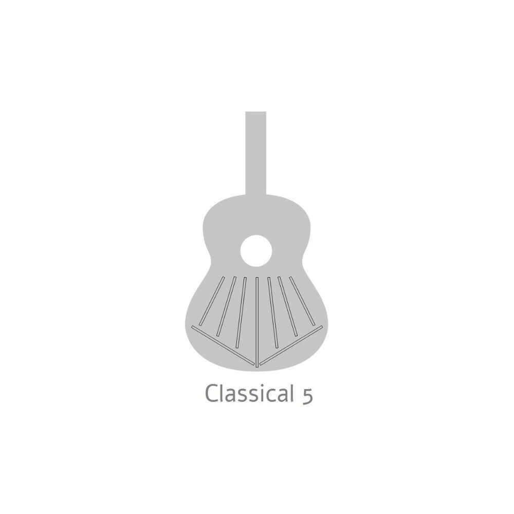Guitarra Cl&aacute;sica 4p+funda 4/4 25 Mm Alhambra image number 6.0