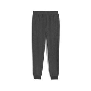 Pantal&oacute;n De Buzo Hombre Puma