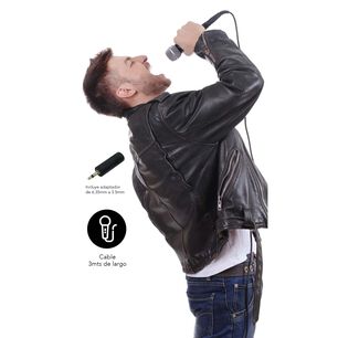 Micr&oacute;fono Aiwa Al&aacute;mbrico Met&aacute;lico 3mts + Adaptador Aw-mk820