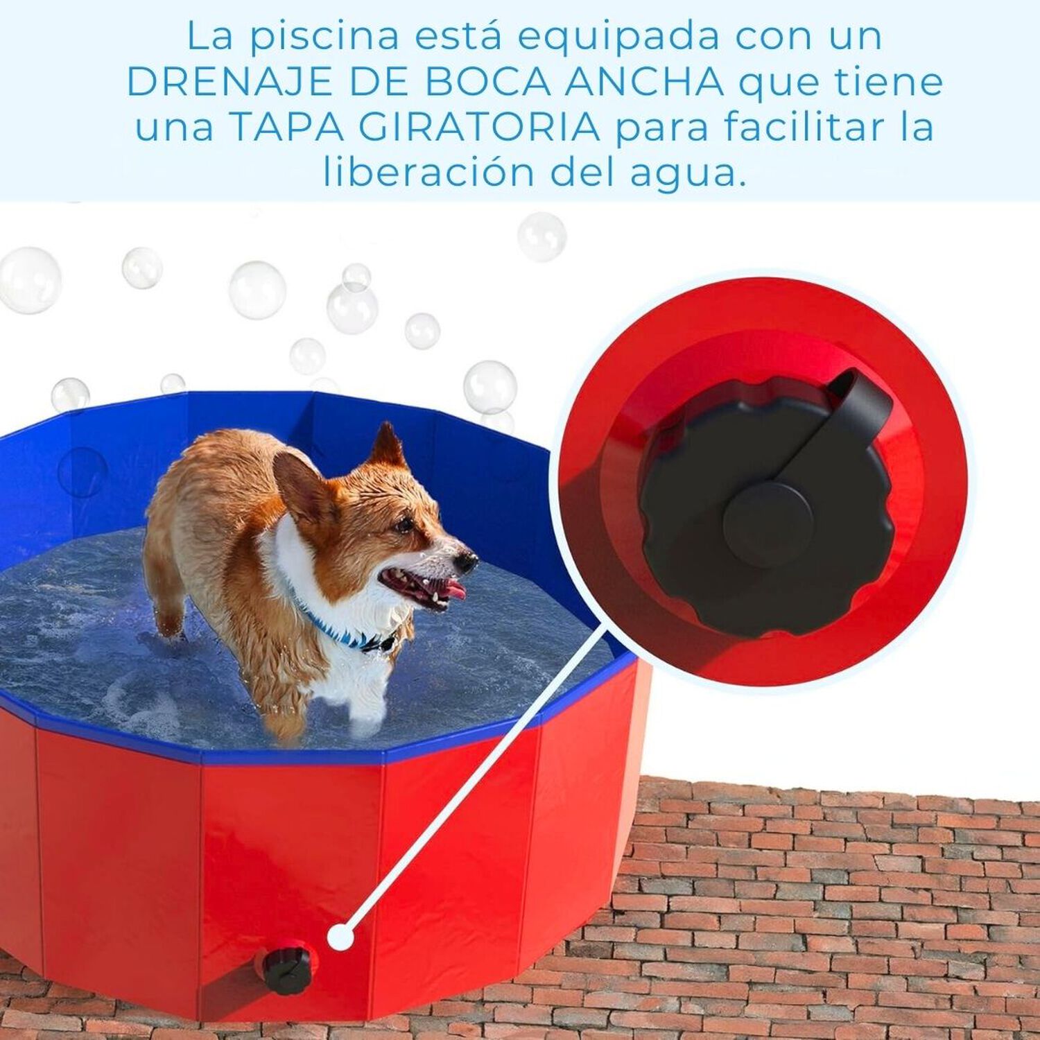 Piscina Ba&ntilde;era Port&aacute;til Plegable Perros Y Mascotas 80x20cm image number 2.0