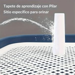 Baño Inodoro De Entrenamiento Para Perros Con Pilar Urinario