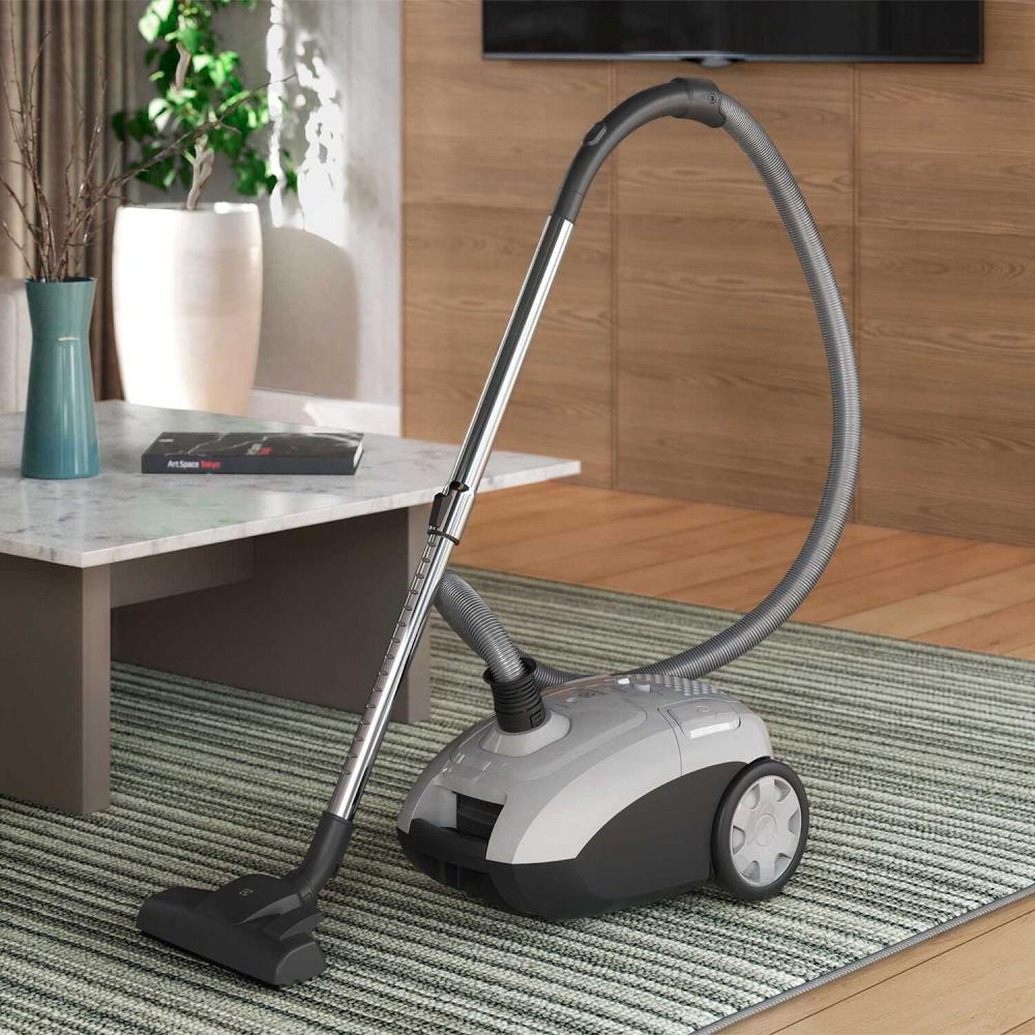Aspiradora Electrolux Sonic Pro BGG30 image number 6.0