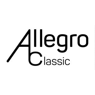 Correa Para Guitarra O Bajo Allegro All-ny-bk