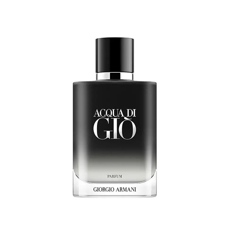 Giorgio Armani Acqua Di Gio Men Parfum 100ml image number 0.0