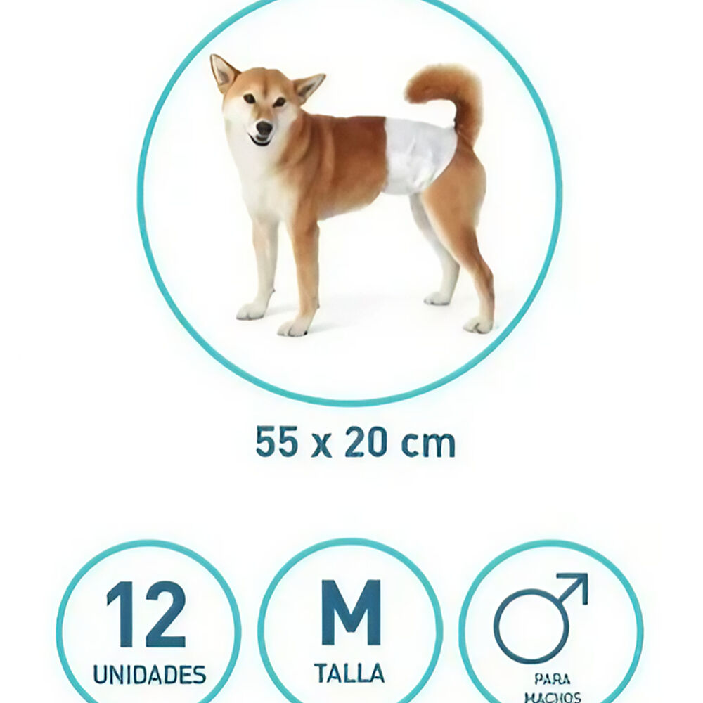 12 Pañales Para Perro Macho M image number 1.0