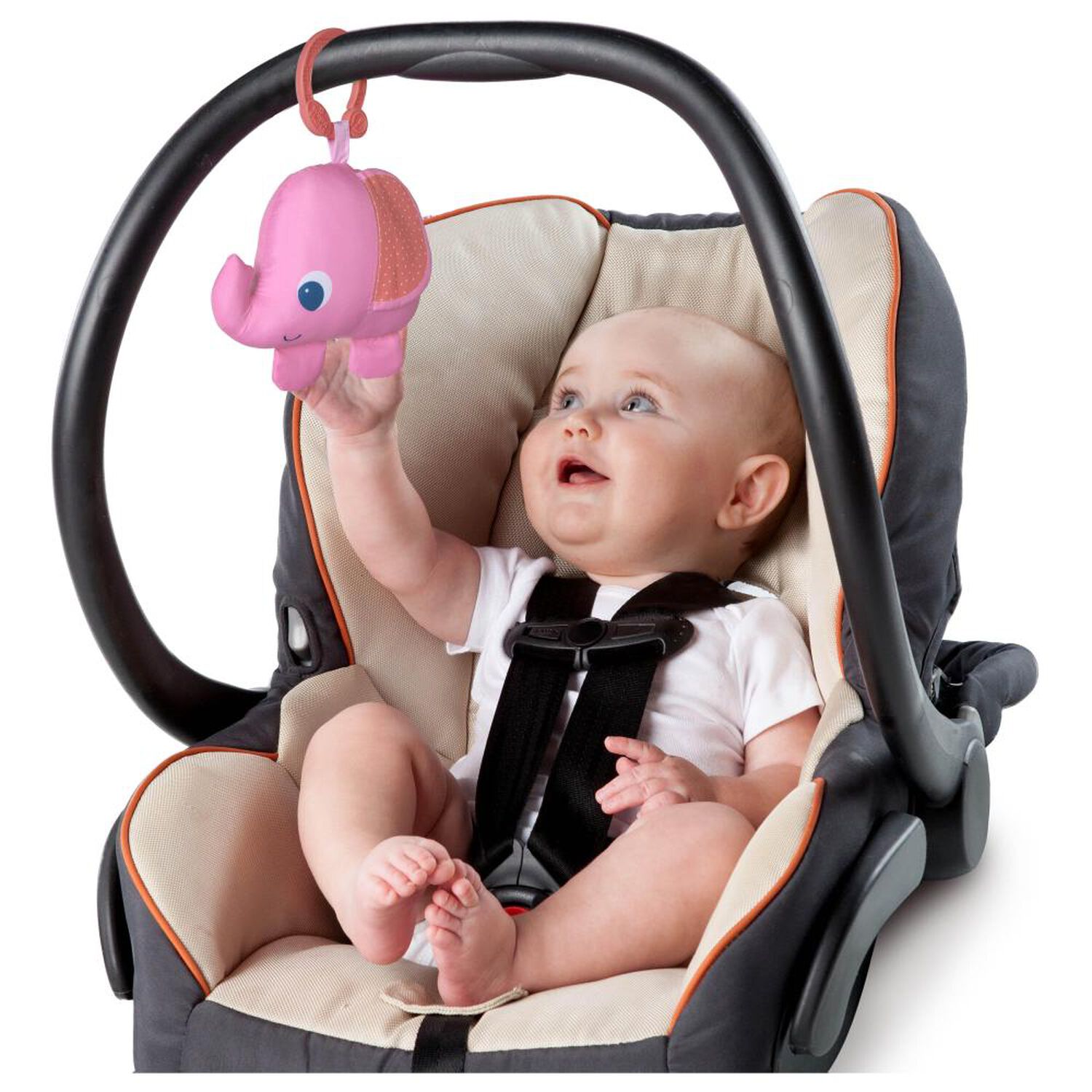 Gimnasio Bright Starts  Fanciful Flowers image number 5.0