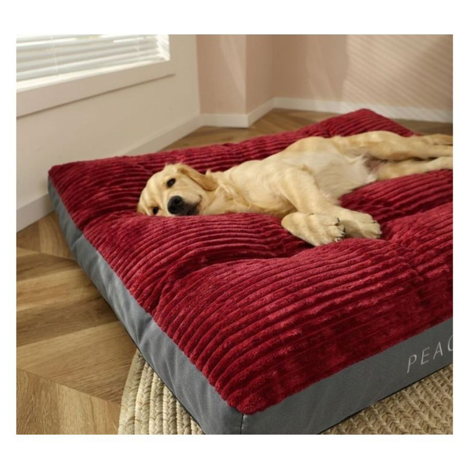 Cama Ortop&eacute;dica Premium Para Mascotas 90x115cm image number 2.0