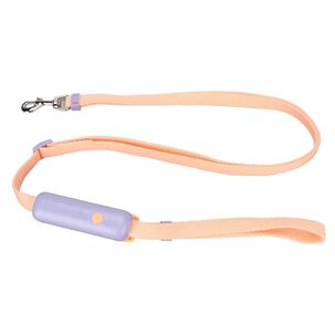 Correa Elegante Retractil Para El Paseo De Mascotas