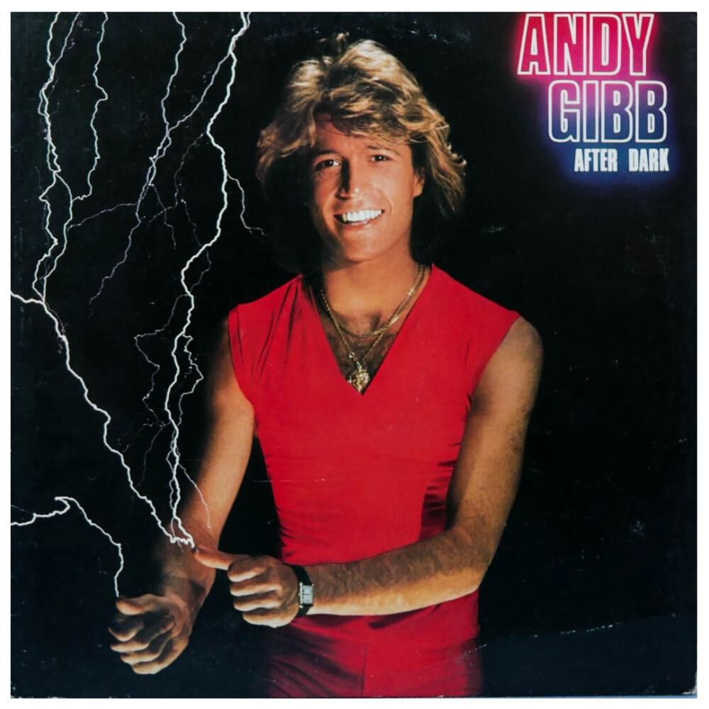 Andy Gibb - After Dark | Vinilo Usado image number 0.0