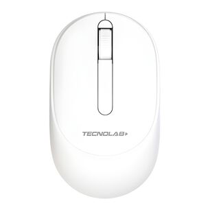 Mouse Inal&aacute;mbrico Bluetooth Y Usb Doble Conexi&oacute;n 10m - Ps