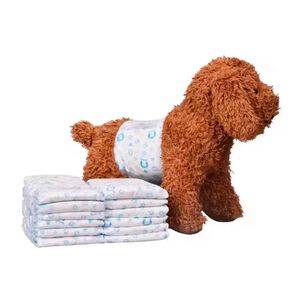 Pack 12 Pa&ntilde;ales Absorventes L Para Perros Macho Mascotas