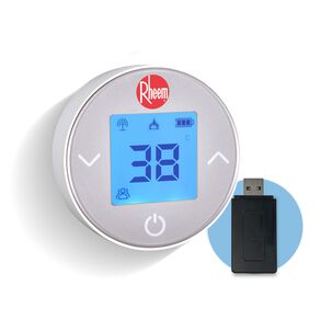 Calefont 18 L Gas Natural T Forzado + Control Digital Rheem
