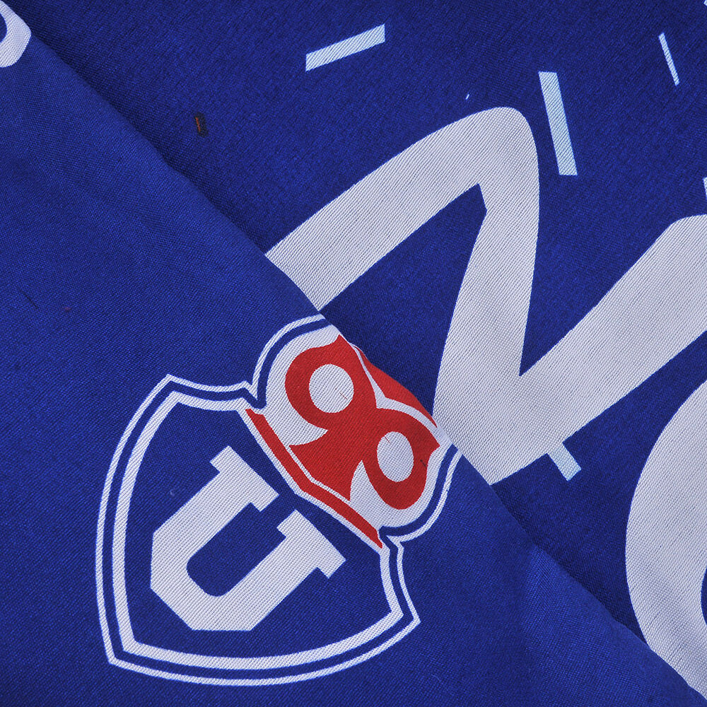 Plum&oacute;n U.de Chile Pasi&oacute;n / 1.5 Plazas image number 1.0