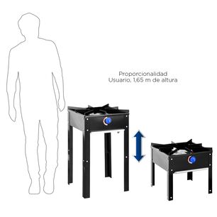 Anafe 1 Plato Eco En Caja Alto Bajo Glp