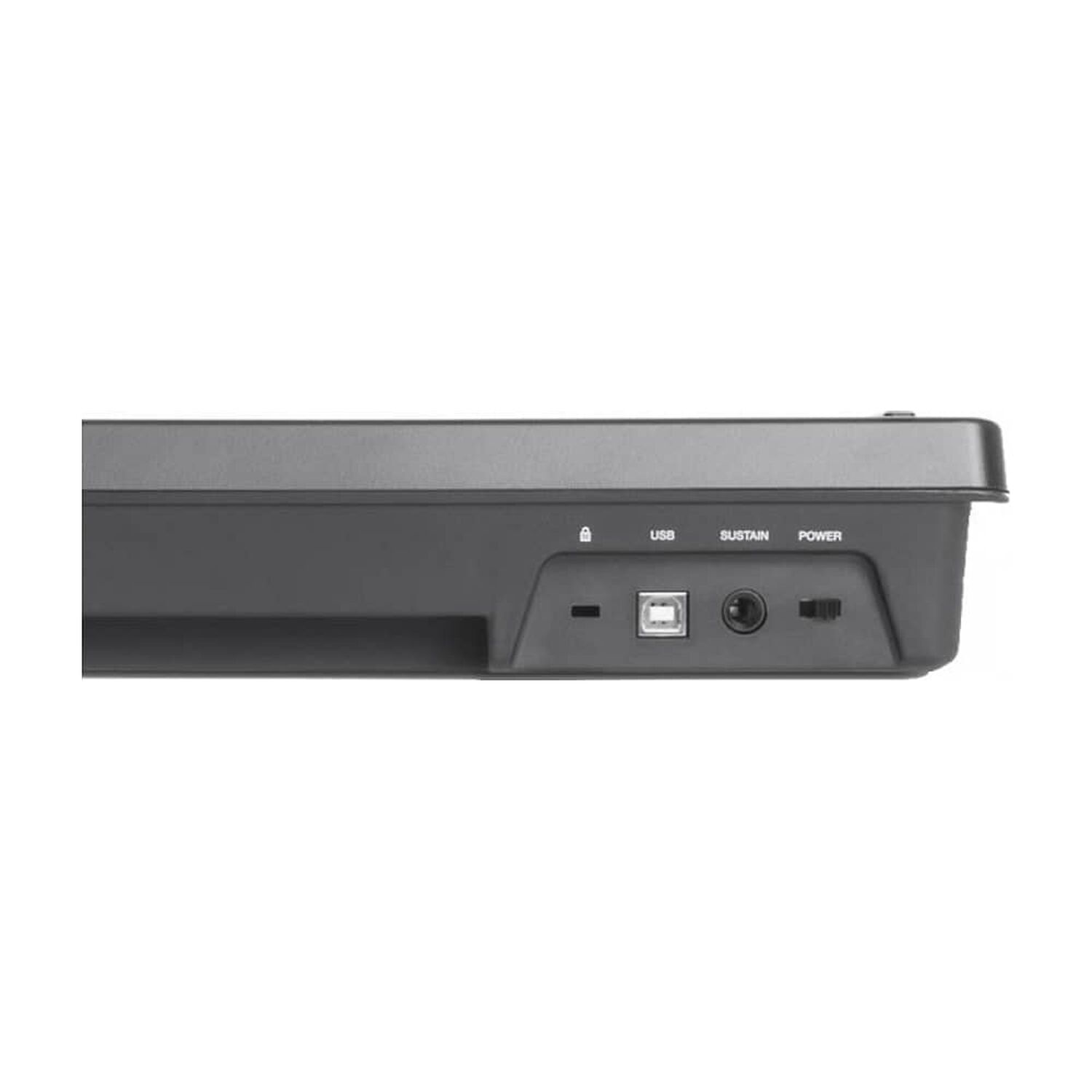 Controlador Midi Keystation 49 Mk3 M-audio image number 4.0