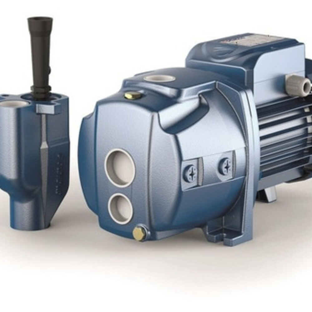 Bomba Autoaspirante Jdw-4 Pedrollo Con Valvula De Pie image number 0.0