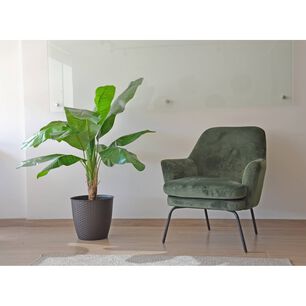Planta Artificial Banano 120 Cm / 12 Hojas Premium / Arbusto Real