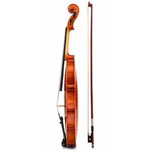 Viol&iacute;n 4/4 Profesional Con Estuche Tipo Case Y Arco - Ps