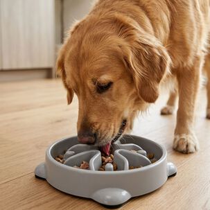 Plato De Alimentaci&oacute;n Lenta Para Perro Hey!