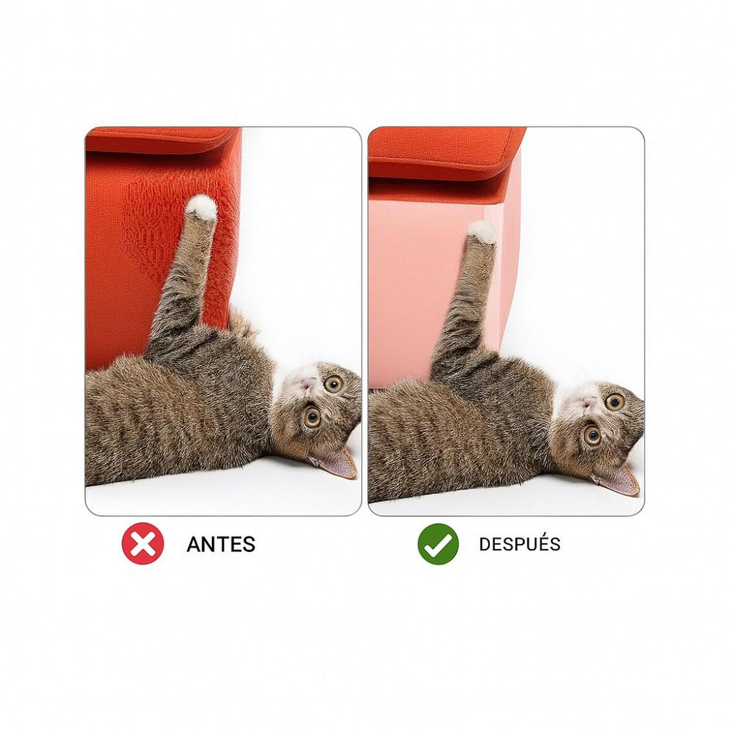 Pegatina Protectora Antiara&ntilde;azos Para Sof&aacute;,protector De Gato image number 4.0