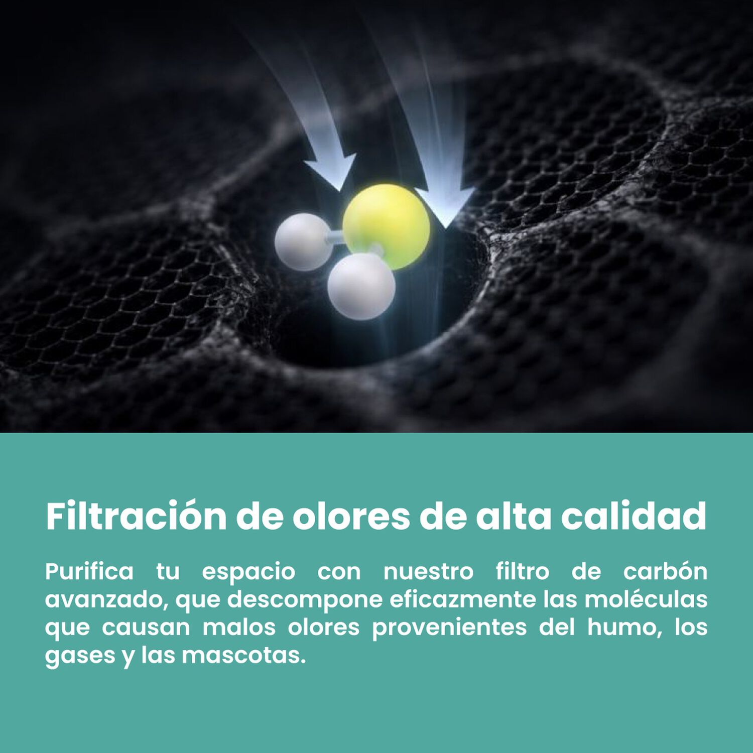 Purificador De Aire Mouvair Om + Filtro Hepa H13 image number 8.0