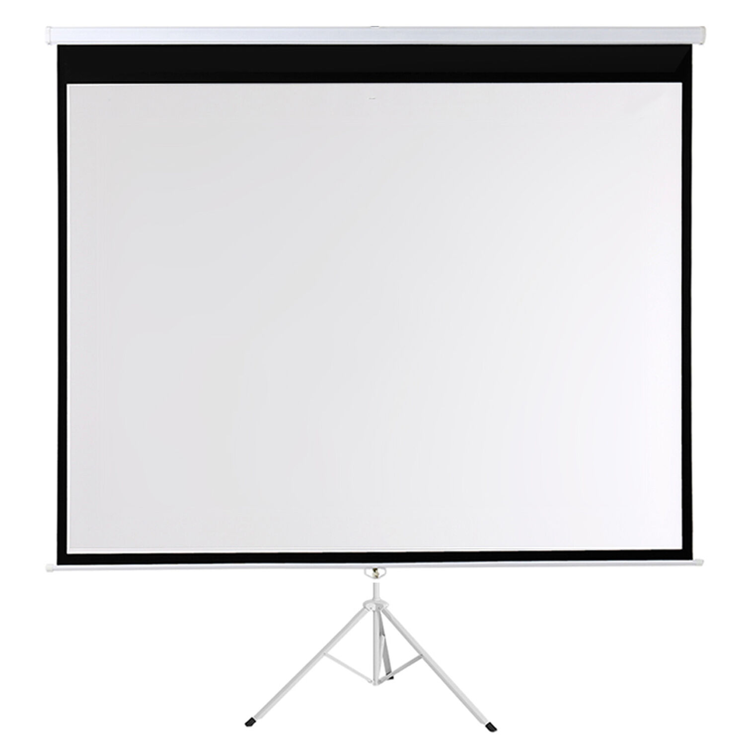 Telon De Proyector Con Tripode 2.03m X 1,52m Brasforma image number 1.0