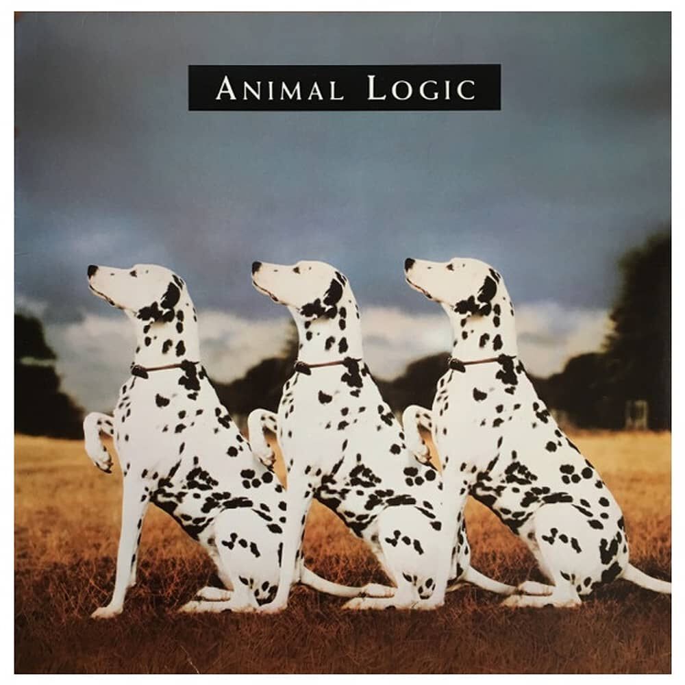 Animal Logic - Animal Logic | Vinilo Usado image number 0.0