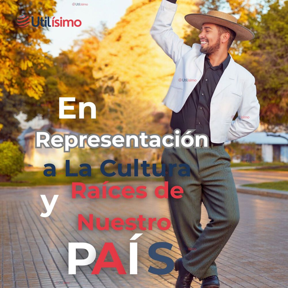 Pantal&oacute;n Huaso Juvenil Gris Con Rayas Fiestas Patrias image number 5.0