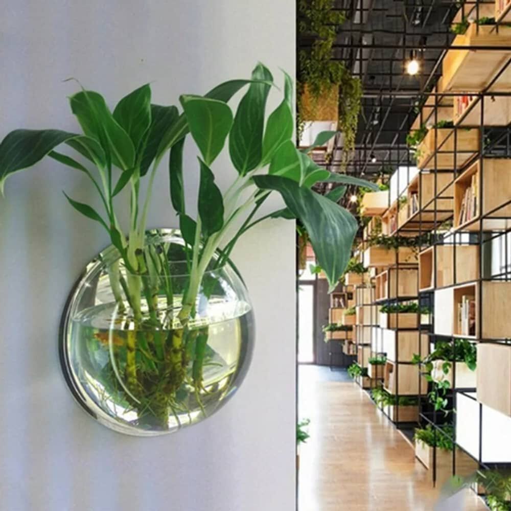 Maceta Colgante De Acr&iacute;lico Transparente Pared 26cm image number 3.0