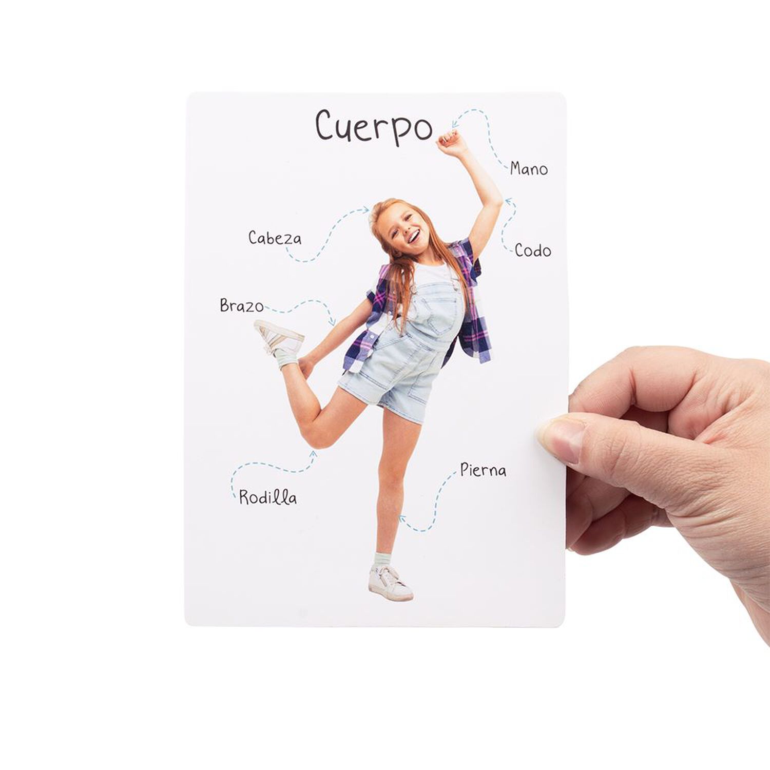 L&aacute;mina Partes Del Cuerpo image number 2.0