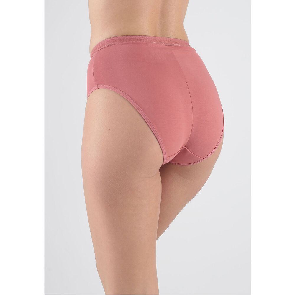 Pack 3x Calzon Maxi Algod&oacute;n P310.80-bur2 Kayser image number 1.0