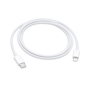 Cable De Datos Apple Lightning A Type-c 1metro Mqgj2zm White