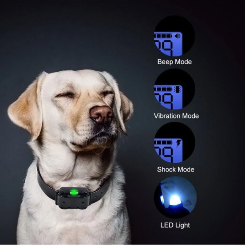 Collar Electrico De Adiestramiento Perros Original Recargable Usb Entrenamiento Canino image number 2.0