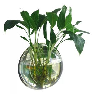 Maceta Colgante De Acr&iacute;lico Transparente Pared 26cm