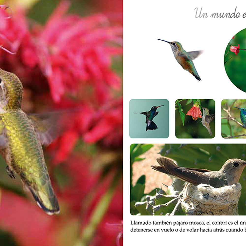 Los Animales Del Mundo image number 3.0